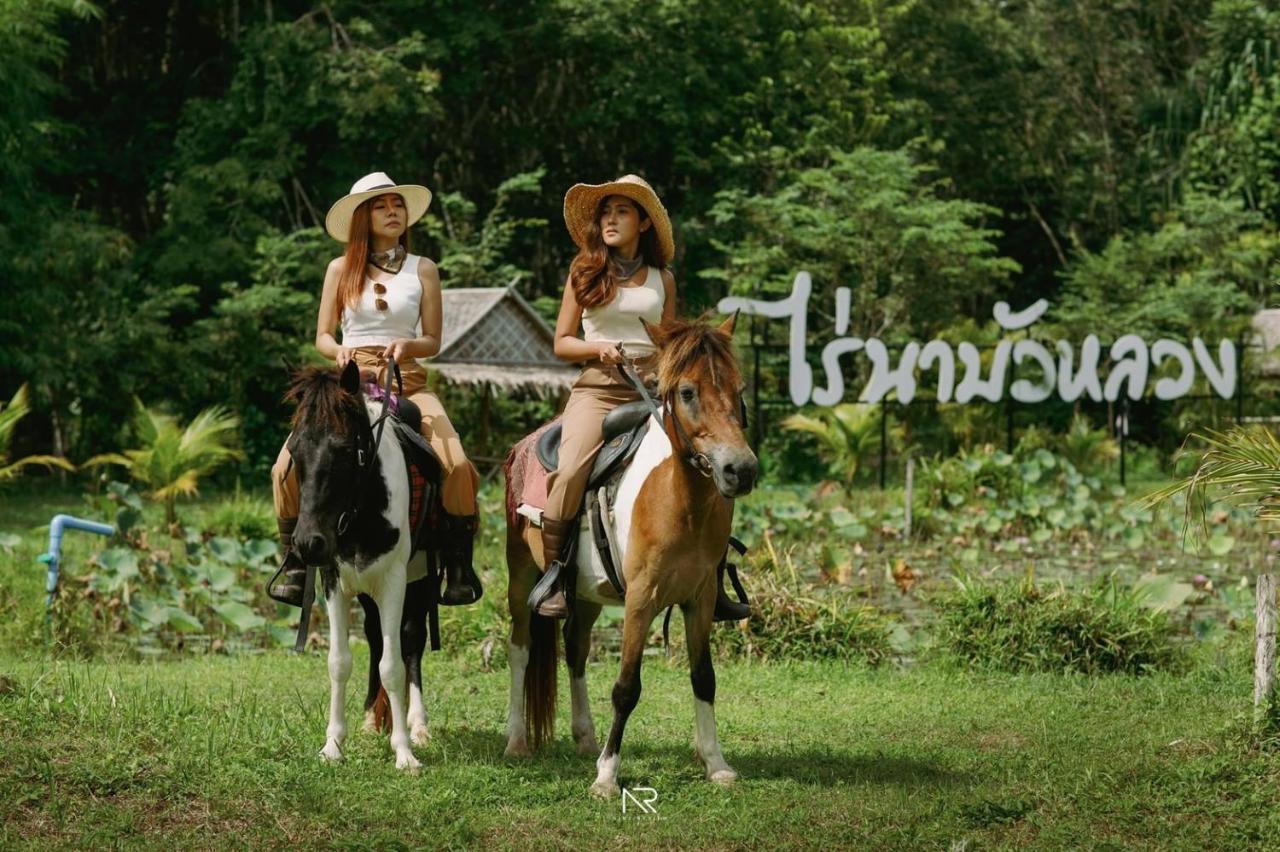 Ban Na No ไร่นาบัวหลวง คาเฟ่ & ฟาร์มสเตย์ Raina Bualuang Cafe & Farm Stay מראה חיצוני תמונה