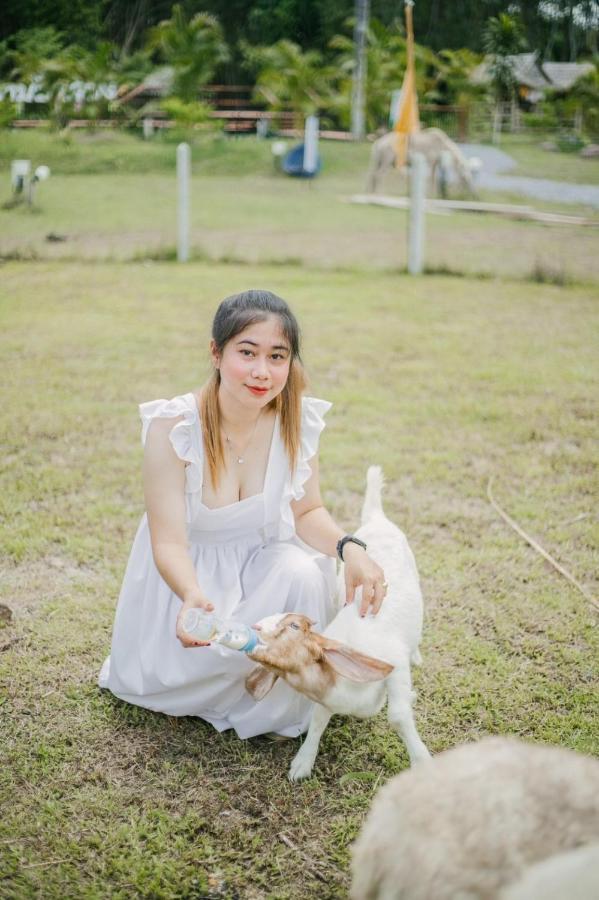 Ban Na No ไร่นาบัวหลวง คาเฟ่ & ฟาร์มสเตย์ Raina Bualuang Cafe & Farm Stay מראה חיצוני תמונה