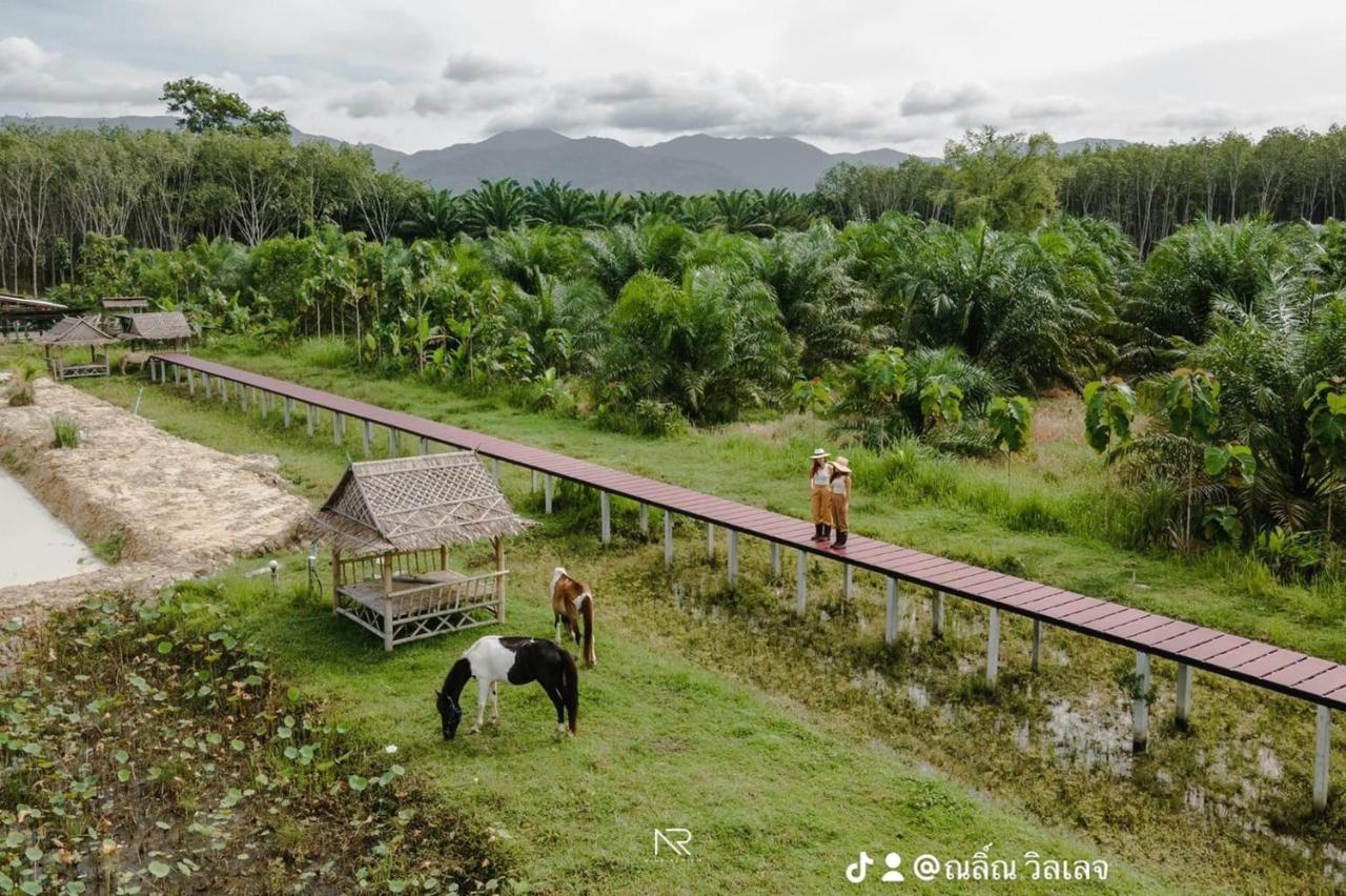 Ban Na No ไร่นาบัวหลวง คาเฟ่ & ฟาร์มสเตย์ Raina Bualuang Cafe & Farm Stay מראה חיצוני תמונה