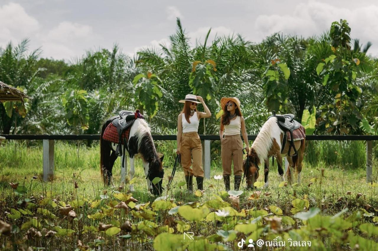 Ban Na No ไร่นาบัวหลวง คาเฟ่ & ฟาร์มสเตย์ Raina Bualuang Cafe & Farm Stay מראה חיצוני תמונה