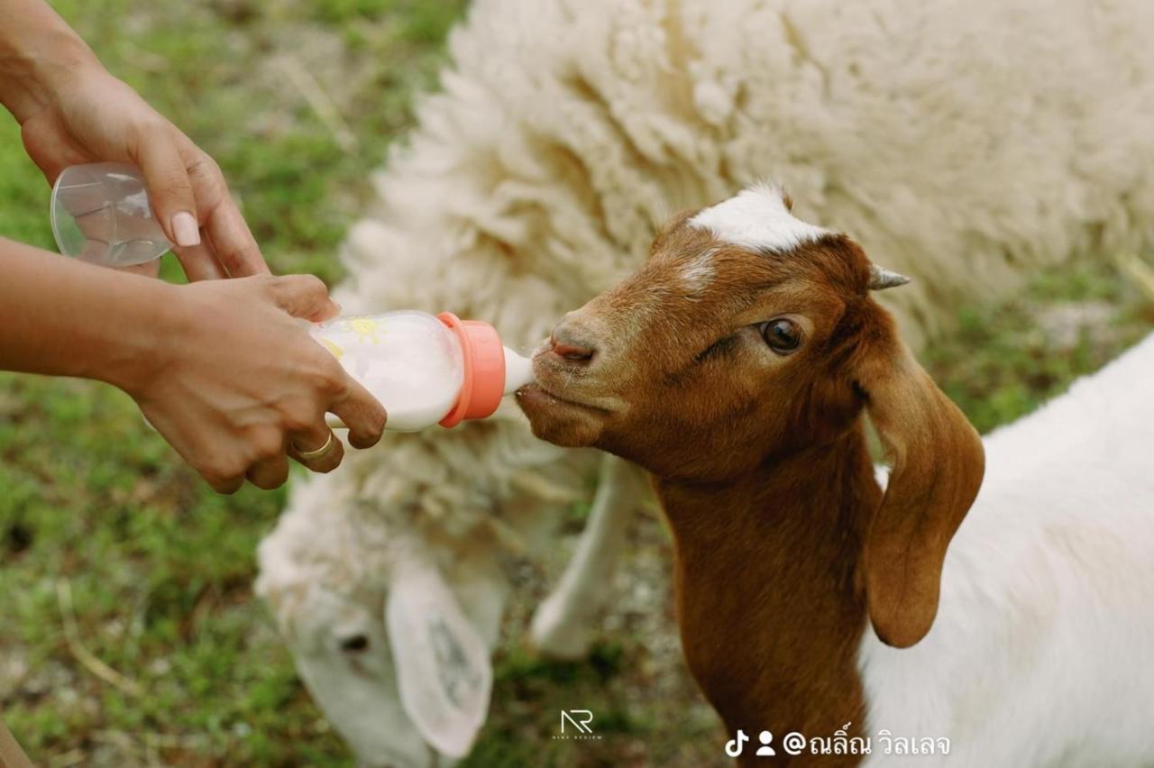 Ban Na No ไร่นาบัวหลวง คาเฟ่ & ฟาร์มสเตย์ Raina Bualuang Cafe & Farm Stay מראה חיצוני תמונה